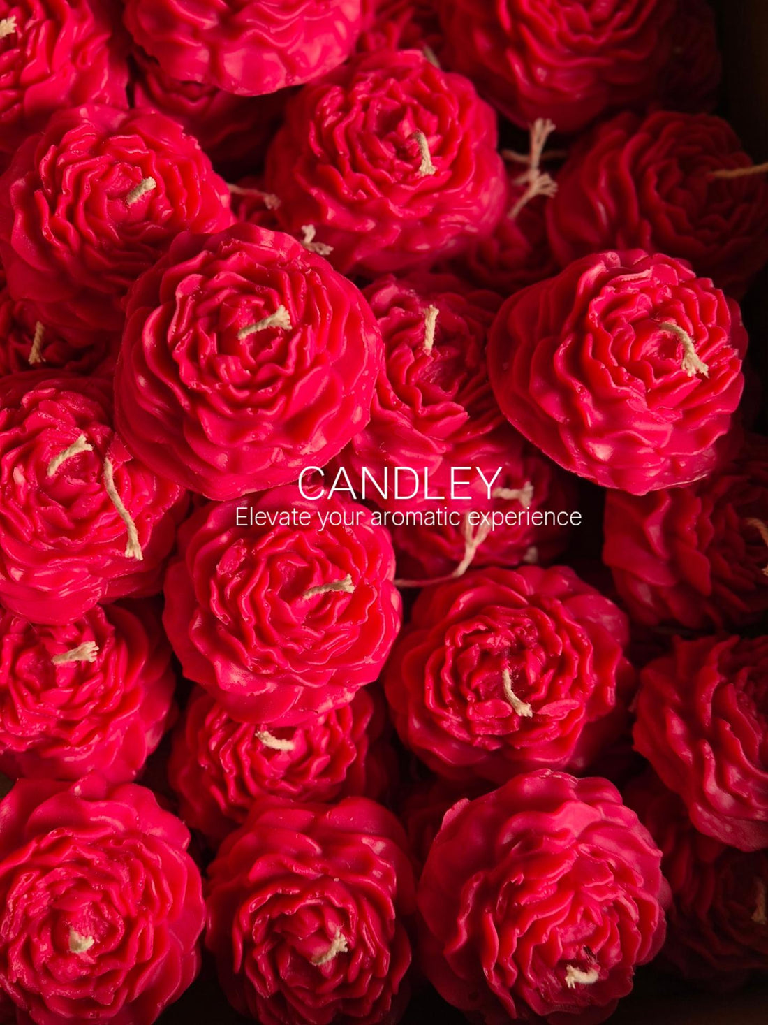Red Rose Wax Candle (Set of 6) - Red