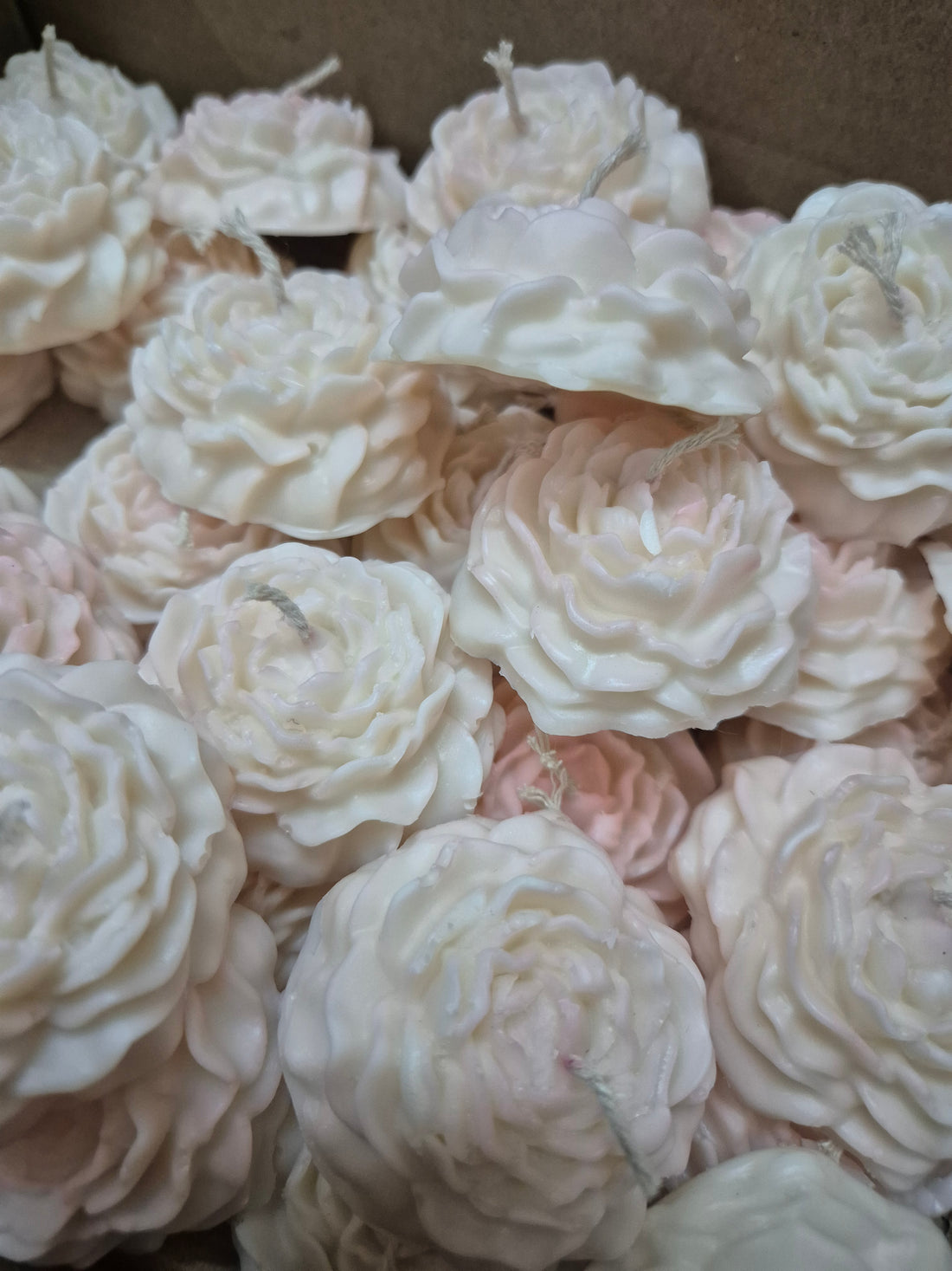 White Rose Wax Candle (Set of 6) - White