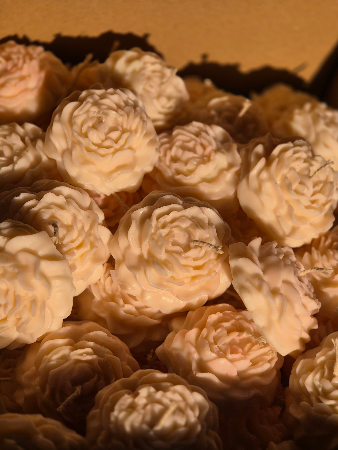 White Rose Wax Candle (Set of 6)