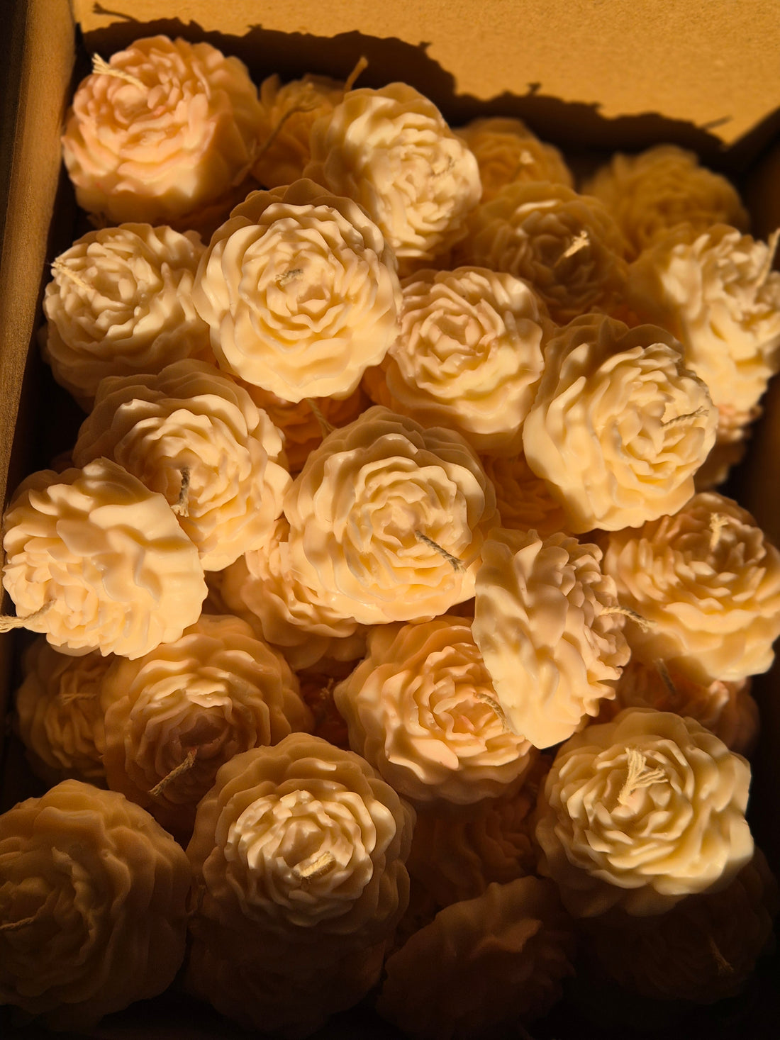 White Rose Wax Candle (Set of 6) - Yellow